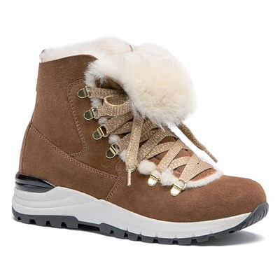 Bottes D'hiver Olang Aurora Homme Marron | 763CRFLXT